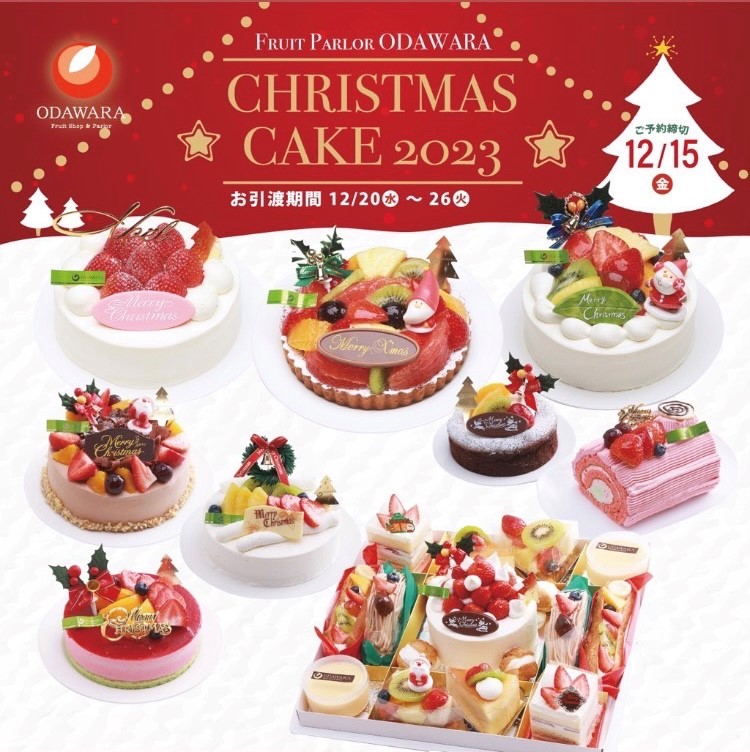クリスマスケーキ🎄２０２３