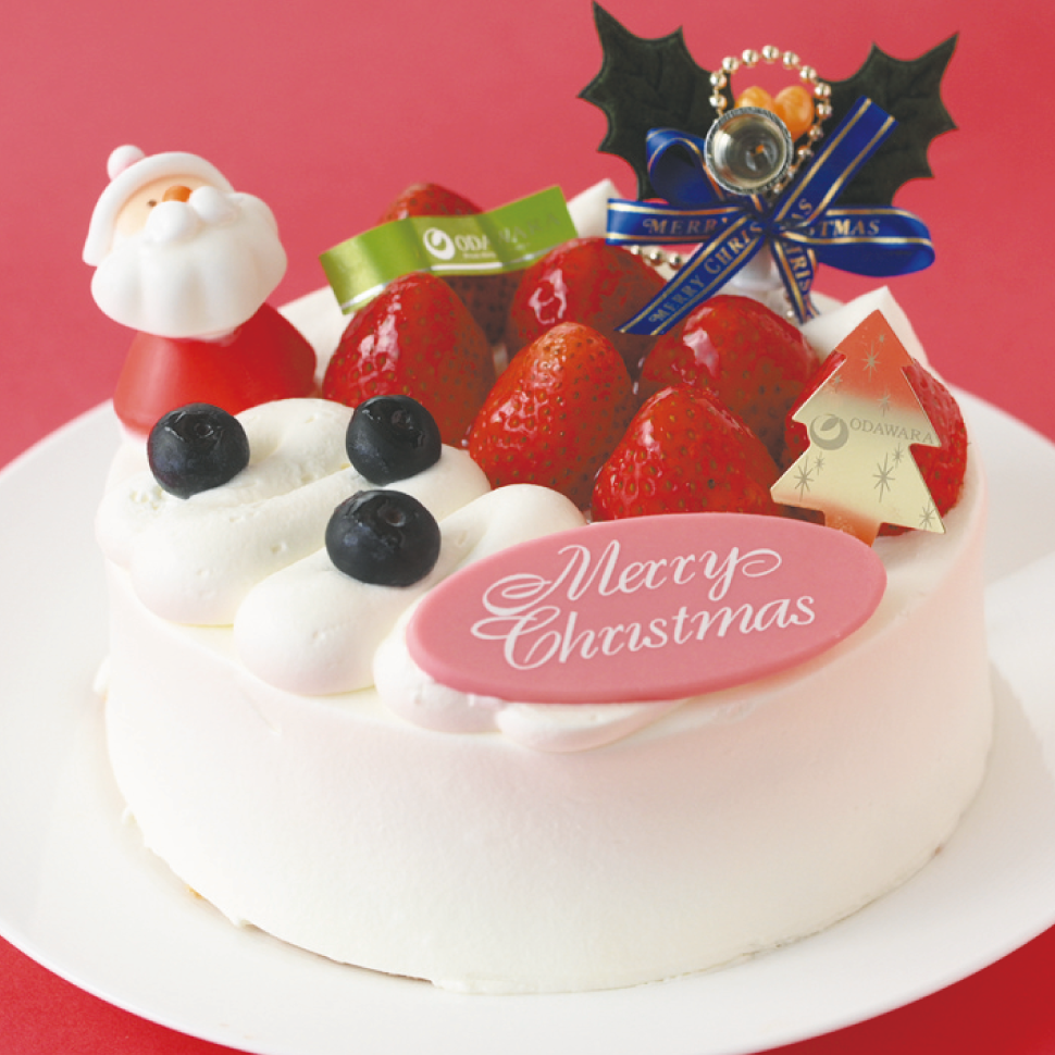 【クリスマスケーキ2025】いちごの生デコレーション